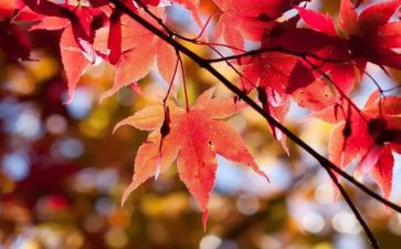..10月活动总结优质7篇