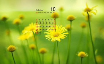 财务10月工作计划6篇