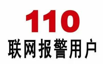 110辅警的个人总结8篇