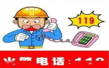 安全教育心得体会119优质8篇