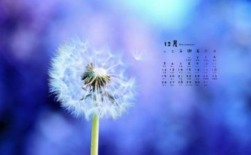 12月宣传活动方案5篇