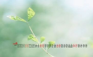 2023年中班12月计划7篇