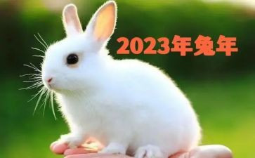2023年安全工作总结参考7篇