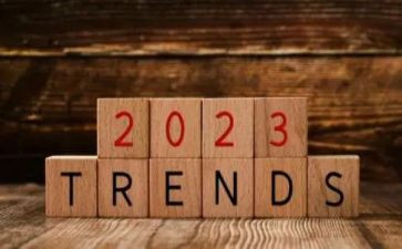 2023客房个人工作总结模板6篇