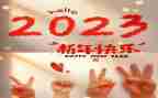 2023面团委工作计划推荐6篇