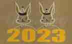 2023学生个人述职报告5篇