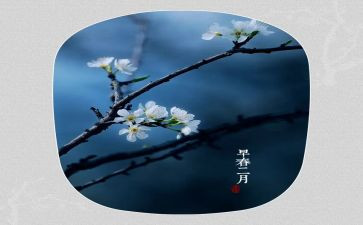 2月份的工作总结5篇