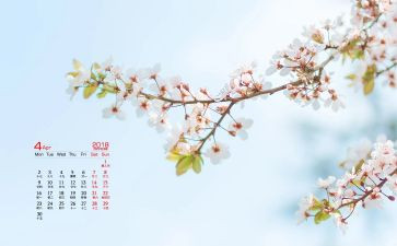 4月份的工作总结8篇