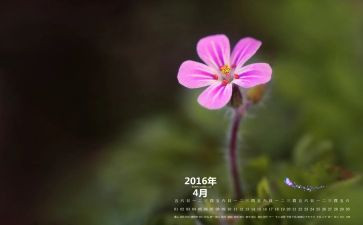 4月党日活动总结通用6篇