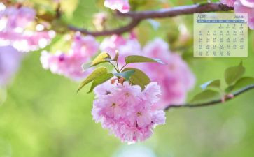 1到4月工作总结范文6篇