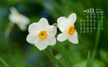2023年4月中班月计划7篇