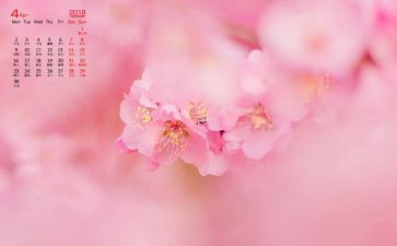 中班4月周工作计划8篇