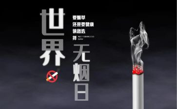 销售531个人总结最新8篇