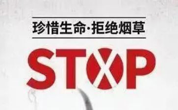 销售531个人总结优质8篇