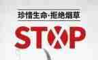 销售531个人总结优质8篇