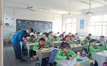 单双数教案推荐8篇