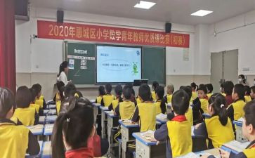 单双数教案5篇