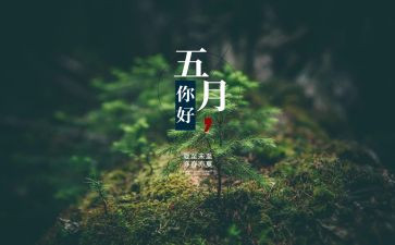 5月党日活动方案7篇