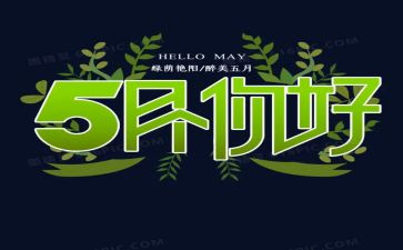 个人5月总结参考6篇