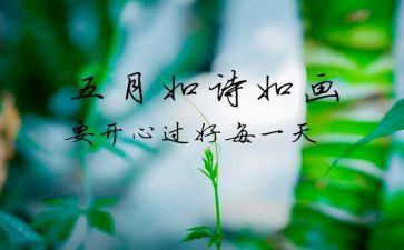 中班5月工作计划5篇
