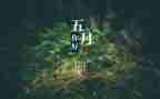 2024年幼儿园大班5月份工作总结5篇