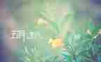 5月4日青年节活动策划6篇