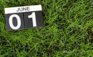 6月2日活动总结7篇