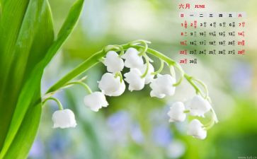 6月卫生工作计划7篇