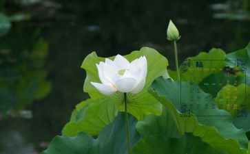 6月安全生产月总结优秀8篇