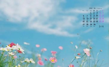 6月份保育工作计划6篇
