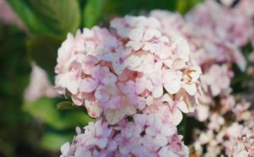 7月份工作计划精选5篇