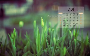 7月主题活动方案5篇