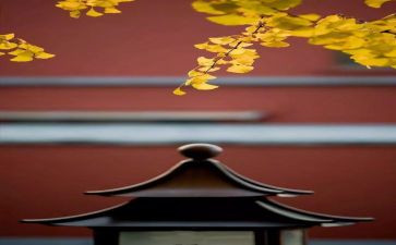 销售8月工作计划7篇