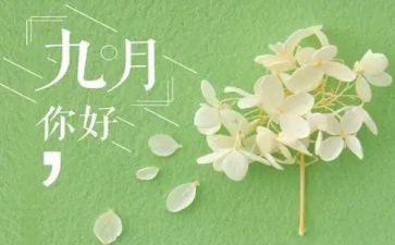 小班幼儿教师9月份工作月总结优质5篇