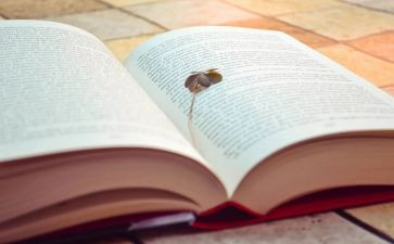 a级模板作文8篇