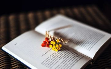 a级模板作文精选5篇