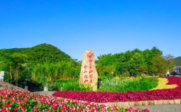 安吉户外游戏心得8篇
