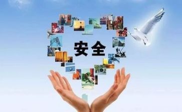 安全的活动总结8篇