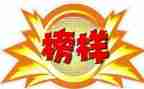 榜样体会心得体会精选5篇