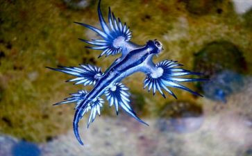 生物老师工作总结6篇