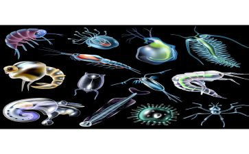 生物老师教学总结8篇