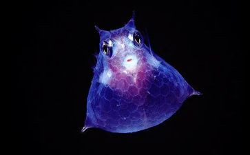 生物老师教学总结通用7篇