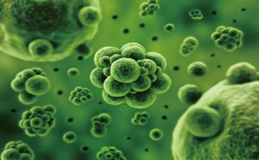 高中生物教师教学总结5篇