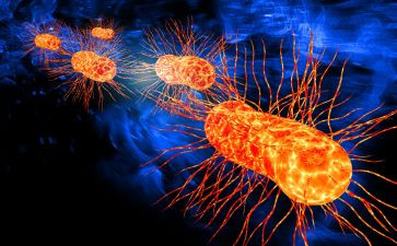 高三生物教学总结5篇