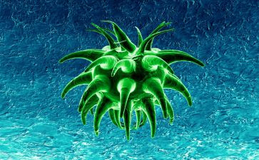 生物老师工作总结最新5篇