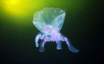 初中生物年度总结5篇