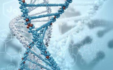 八上生物学期总结模板5篇