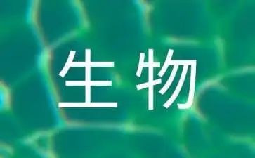 高中生物个人总结6篇