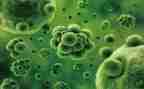 高中生物教师教学总结5篇