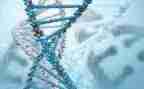 八上生物学期总结模板5篇